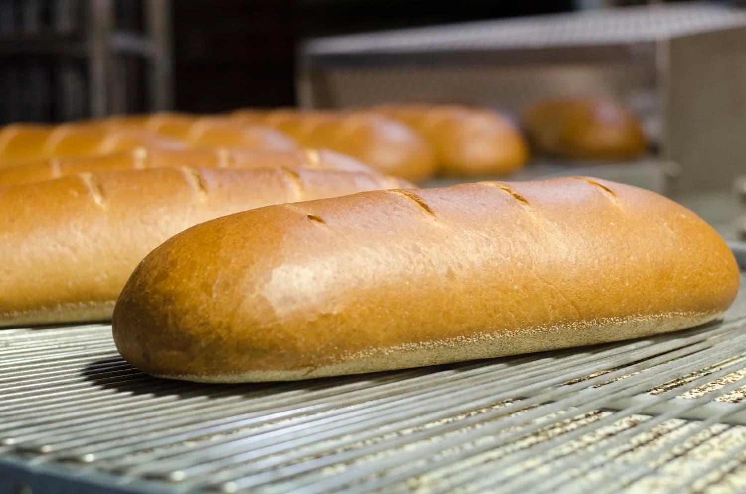 Loaves cooling on racks at the Pechter's bakery